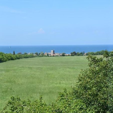 Apartmani Ritosa Novigrad Istria Εξωτερικό φωτογραφία