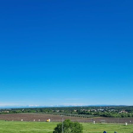 Apartmani Ritosa Novigrad Istria Εξωτερικό φωτογραφία